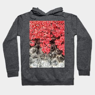 Pink red ivy leaves autumn stone wall nature fall photo Hoodie